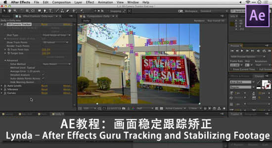 AE教程：画面稳定跟踪矫正 Lynda–After Effects Guru Tracking and Stabilizing Footage-精品资源站