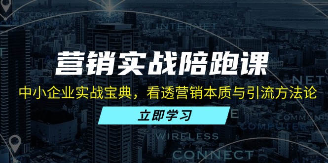 营销实战陪跑课：中小企业实战宝典，看透营销本质与引流方法论-精品资源站