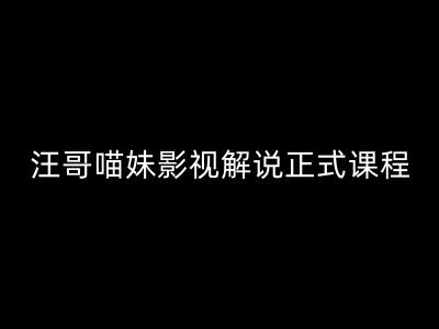 汪哥影视解说正式课程：剪映/PR教学/视解说剪辑5大黄金法则/全流程剪辑7把利器等等-精品资源站