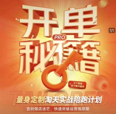 淘宝开单秘籍PRO，量身定制淘天实战陪跑计划，告别做店迷茫、快速突破运营瓶颈期-精品资源站