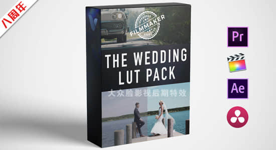 13个浪漫爱情婚礼LUTS调色预设(FCPX/PR/PS/AE/达芬奇/OFX) Wedding LUT Pack-精品资源站