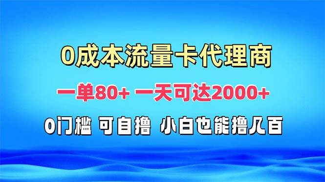 （13391期）免费流量卡代理一单80+ 一天可达2000+-精品资源站