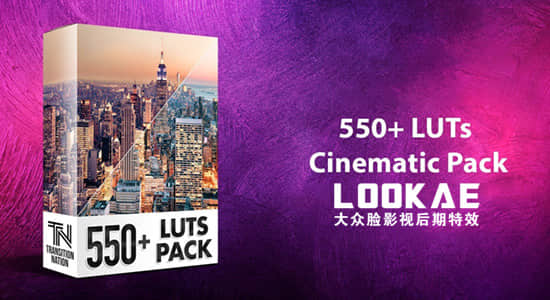 550个室内户外照明环境城市黑白复古婚礼电影LUTS调色预设 550+ LUTs – Cinematic Pack-精品资源站