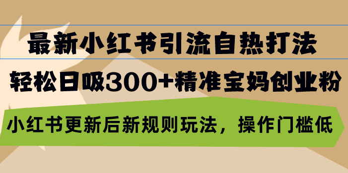 最新小红书引流自热打法，轻松日吸300+精准宝妈创业粉，小红书更新后新…-精品资源站