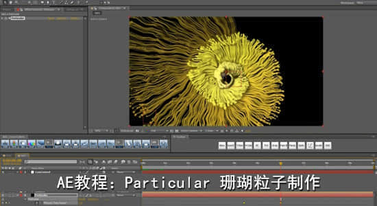 AE教程：Particular 珊瑚粒子制作-精品资源站