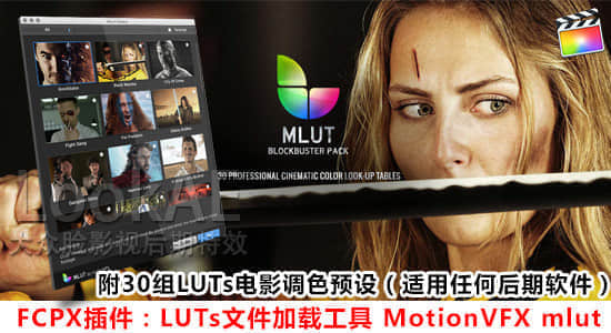 FCPX插件：LUTs文件加载工具 MotionVFX mlut + 30组LUT调色预设-精品资源站