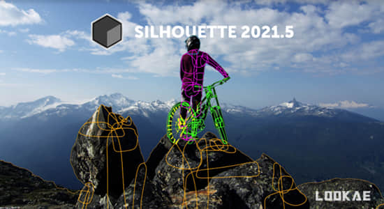 影视后期ROTO跟踪抠像合成软件 Silhouette 2021.5.0 Win + AE/PR/VEGAS/OFX/达芬奇插件-精品资源站