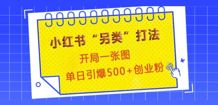 小红书“另类”打法，开局一张图，单日引爆500+精准创业粉【揭秘】-精品资源站