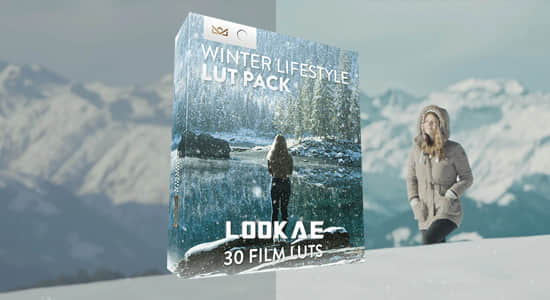 30种冬季户外环境生活场景LUTs调色预设(FCPX/PR/PS/AE/达芬奇/OFX) Bounce Color –  Winter Lifestyle LUT Pack-精品资源站