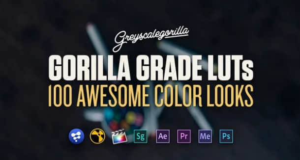 灰猩猩出品100种 LUTs 电影调色预设 GreyScaleGorilla – Grade LUTs-精品资源站