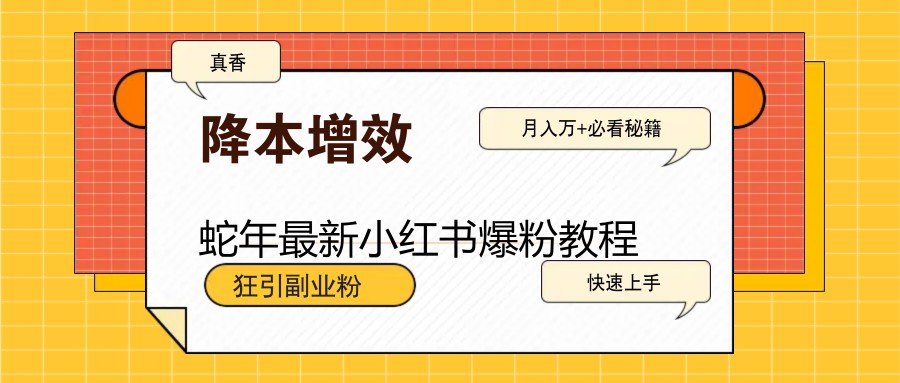 蛇年最新小红书爆粉教程，狂引副业粉，月入万+必看-精品资源站