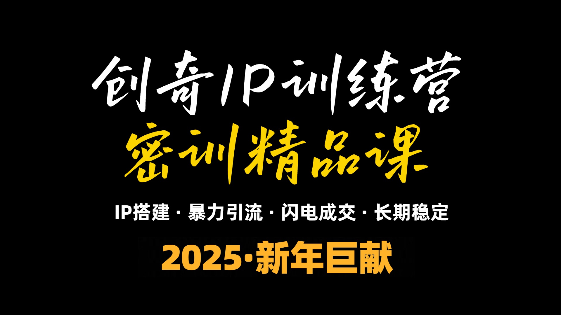 2025年“知识付费IP训练营”小白避坑年赚百万，暴力引流，闪电成交-精品资源站