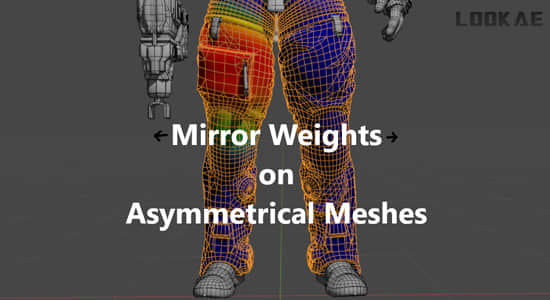 非对称网格上镜像顶点权重操作Blender插件 Closest Point Weight Mirror V0.0.4-精品资源站