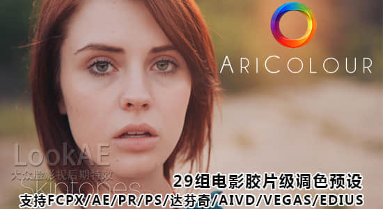 29组 LUTS 专业电影调色预设  – 支持众多后期软件-精品资源站