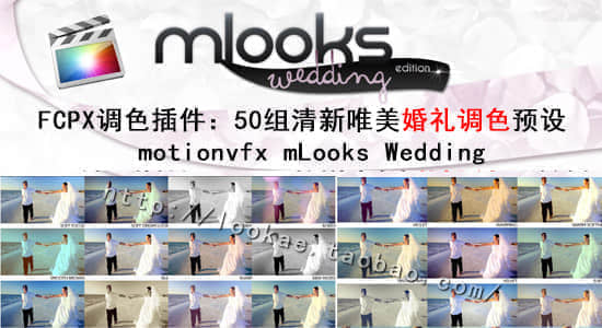 FCPX调色插件：50组清新唯美婚礼调色预设motionvfx mLooks Wedding-精品资源站