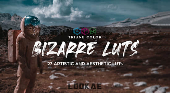 27组艺术美学奇异独特LUTS调色预设 Bizarre LUTs-精品资源站