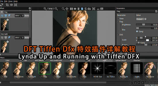 DFT Tiffen Dfx 特效插件详解教程Lynda Up and Running with Tiffen DFX-精品资源站
