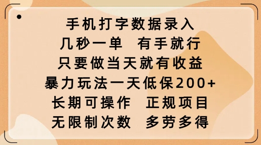 手机打字数据录入，几秒一单，有手就行，只要做当天就有收益，暴力玩法一天低保2张-精品资源站