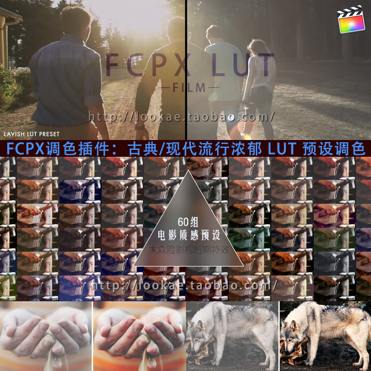 FCPX调色插件：60组古典/现代流行浓郁 LUT 预设调色 PFS - LUT Film