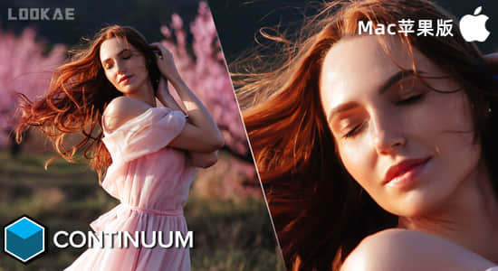 Continuum 2024 v17.0.3 Mac苹果版BCC视觉特效和转场AE/PR/FCPX/达芬奇/AVID插件-精品资源站