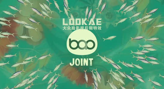AE插件-骨骼关节绑定扭曲变形联动 BAO Joint v1.0.2 Win/Mac版 + 使用教程-精品资源站