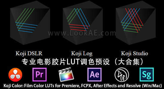 专业电影胶片LUT调色预设Koji Color: Film Color LUTs for Premiere, FCPX, After Effects and Resolve (Win/Mac)-精品资源站