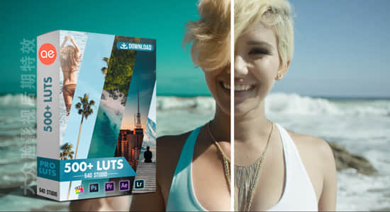 560种多风格LUTs视频调色预设 540+ Cinematic LUTS Pack（AE/PR/FCPX/PS/达芬奇/OFX）-精品资源站