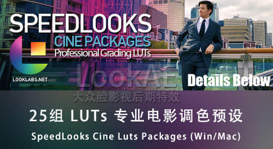 25组 LUTs 专业电影调色预设 SpeedLooks Cine Luts Packages (Win/Mac)-精品资源站