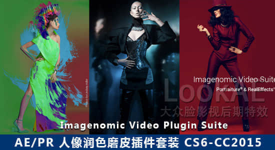 AE/PR 人像润色磨皮插件套装 Imagenomic Video 1007-精品资源站