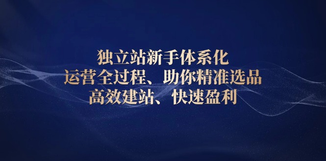 独立站新手体系化 运营全过程，助你精准选品、高效建站、快速盈利-精品资源站