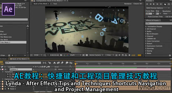 AE教程：快捷键和工程项目管理技巧教程Lynda – After Effects Tips and Techniques Shortcuts Navigation and Project Management-精品资源站