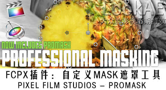 FCPX插件：自定义MASK遮罩工具 PIXEL FILM STUDIOS – PROMASK-精品资源站