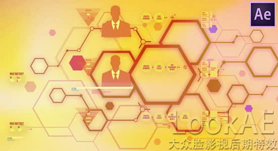 AE教程：MG运动图表制作合成技巧 Udemy – Motion Infographics Tricks in After Effects-精品资源站