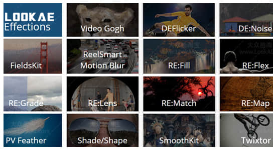 AE/PR视觉特效插件合集 REVisionFX Effections Plus v21.1.1 Win 含Twixtor/Flicker/RSMB-精品资源站