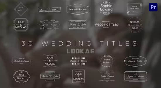 PR模板-30种浪漫爱情小清新线条婚礼标题动画 Wedding Titles-精品资源站