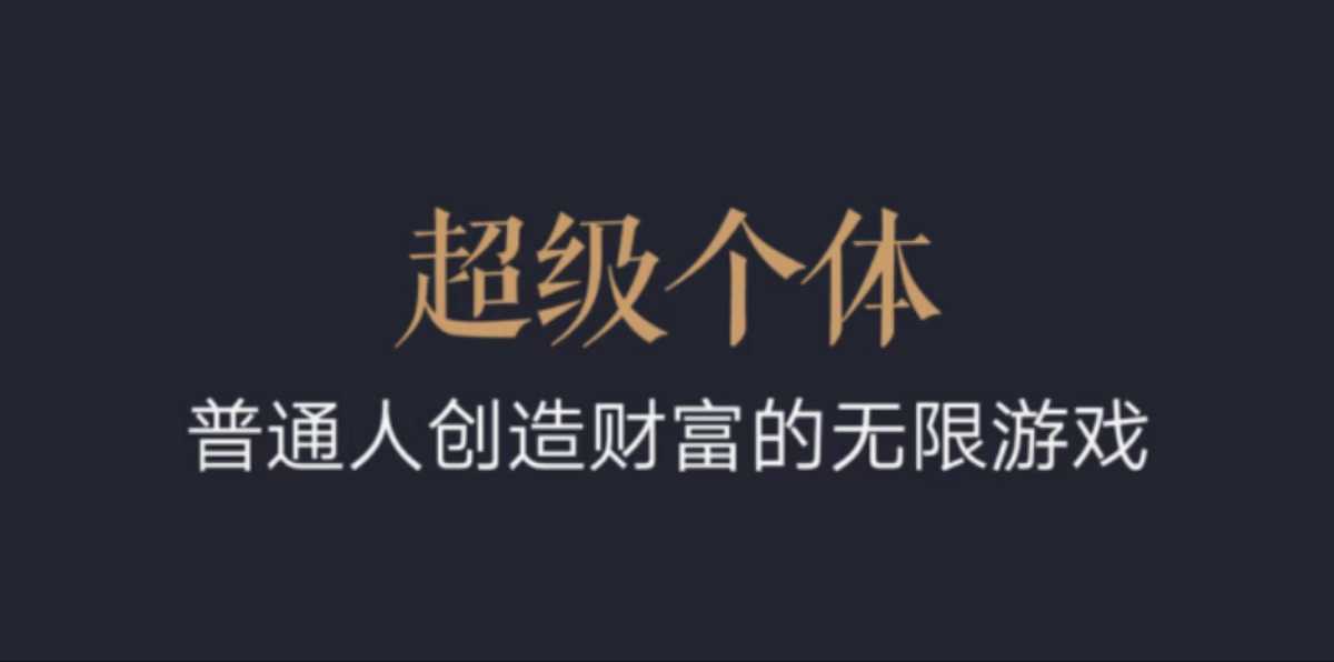 超级个体：2024-2025翻盘指南，普通人创造财富的无限游戏-精品资源站