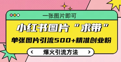小红书图片‘求带’爆火引流法，单张图片引流500+精准创业粉【揭秘】-精品资源站
