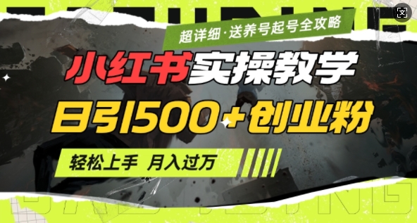 2月小红书最新日引500+创业粉实操教学【超详细】小白轻松上手，月入1W+，附小红书养号起号SOP-精品资源站