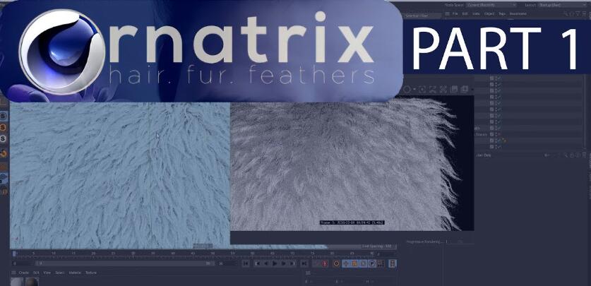 C4D制作头发羽毛专业级插件Ephere Ornatrix v2.4.0.32507 Win-精品资源站