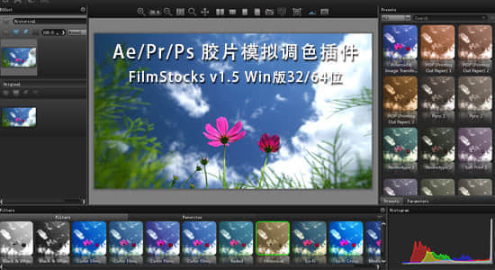 胶片模拟调色插件 DFT FilmStocks v2.0 for Aoduobi, Avid and OFX-精品资源站