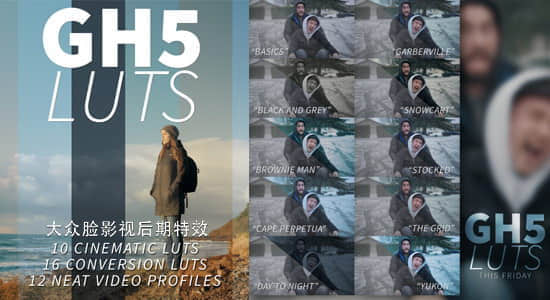 66种松下GH5摄像机专用LUTs调色预设 Panasonic Lumix GH5 LUTs-精品资源站