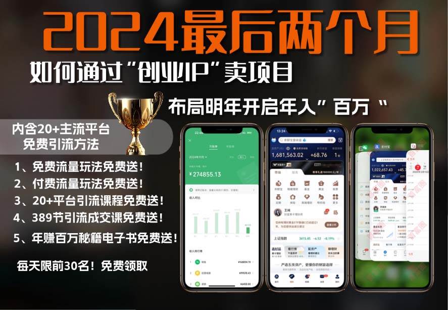 （13322期）2024最后两个月如何通过”创业IP“卖项目年入”百万“,创业IP+最强引流…-精品资源站