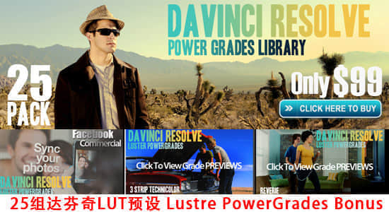 25组达芬奇LUT预设 Lustre Power Grades Bonus for DaVinci Resolve-精品资源站