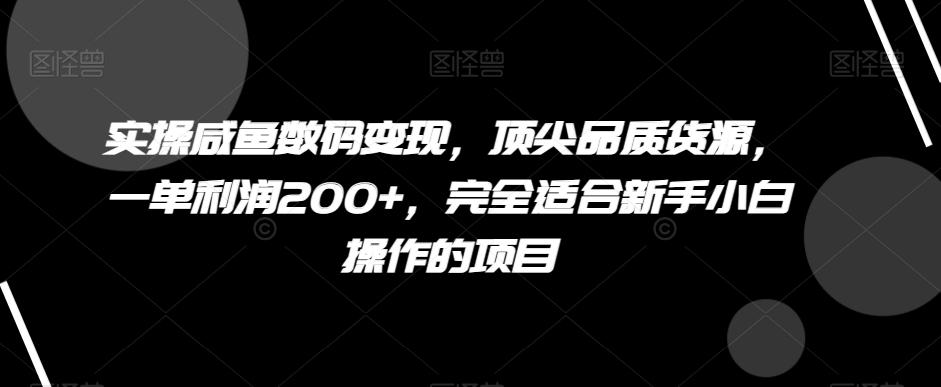 实操咸鱼数码变现，顶尖品质货源，一单利润200+，完全适合新手小白操作的项目【揭秘】-精品资源站