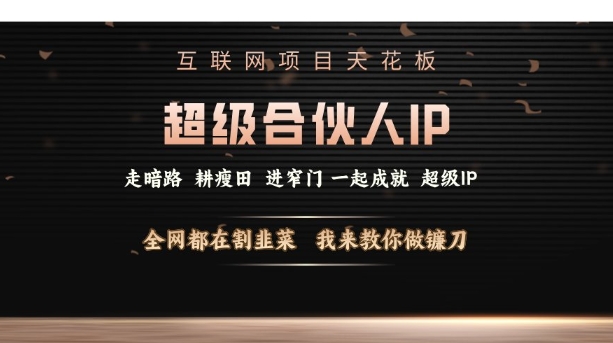 互联网项目天花板，超级合伙人IP，全网都在割韭菜，我来教你做镰刀【仅揭秘】-精品资源站