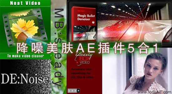 Noise.降噪美肤AE插件5合1-精品资源站
