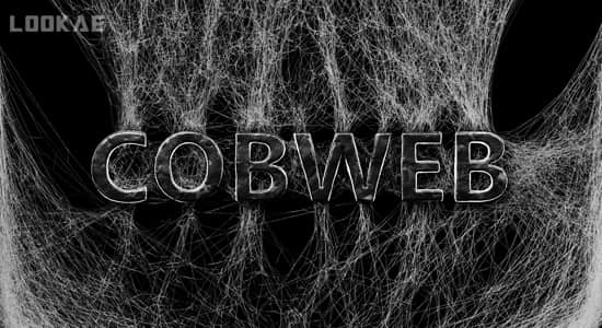 Blender蜘蛛网生成器 Cobweb (spidernet) v2.1-精品资源站